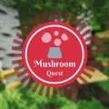 Мод Mushroom Quest для Minecraft [1.21.1, 1.20.1, 1.19.2, 1.18.2]